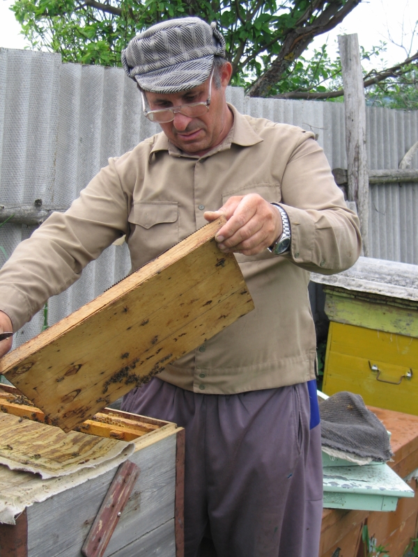 Самый главный пчеловод